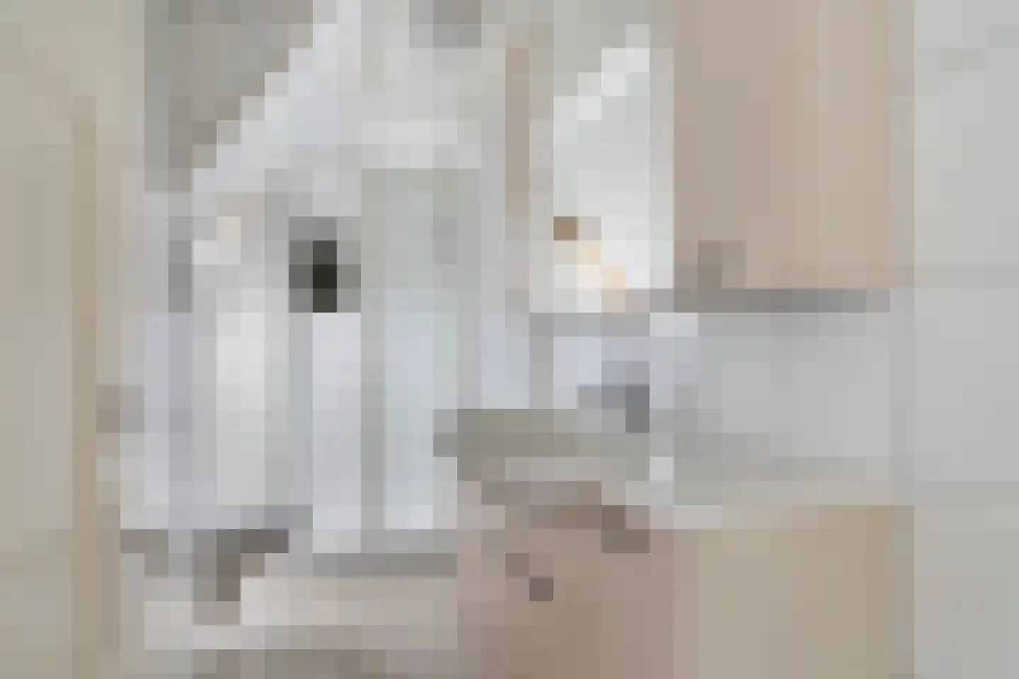 Wiidswei 1 Earnewâld thumbnail 5