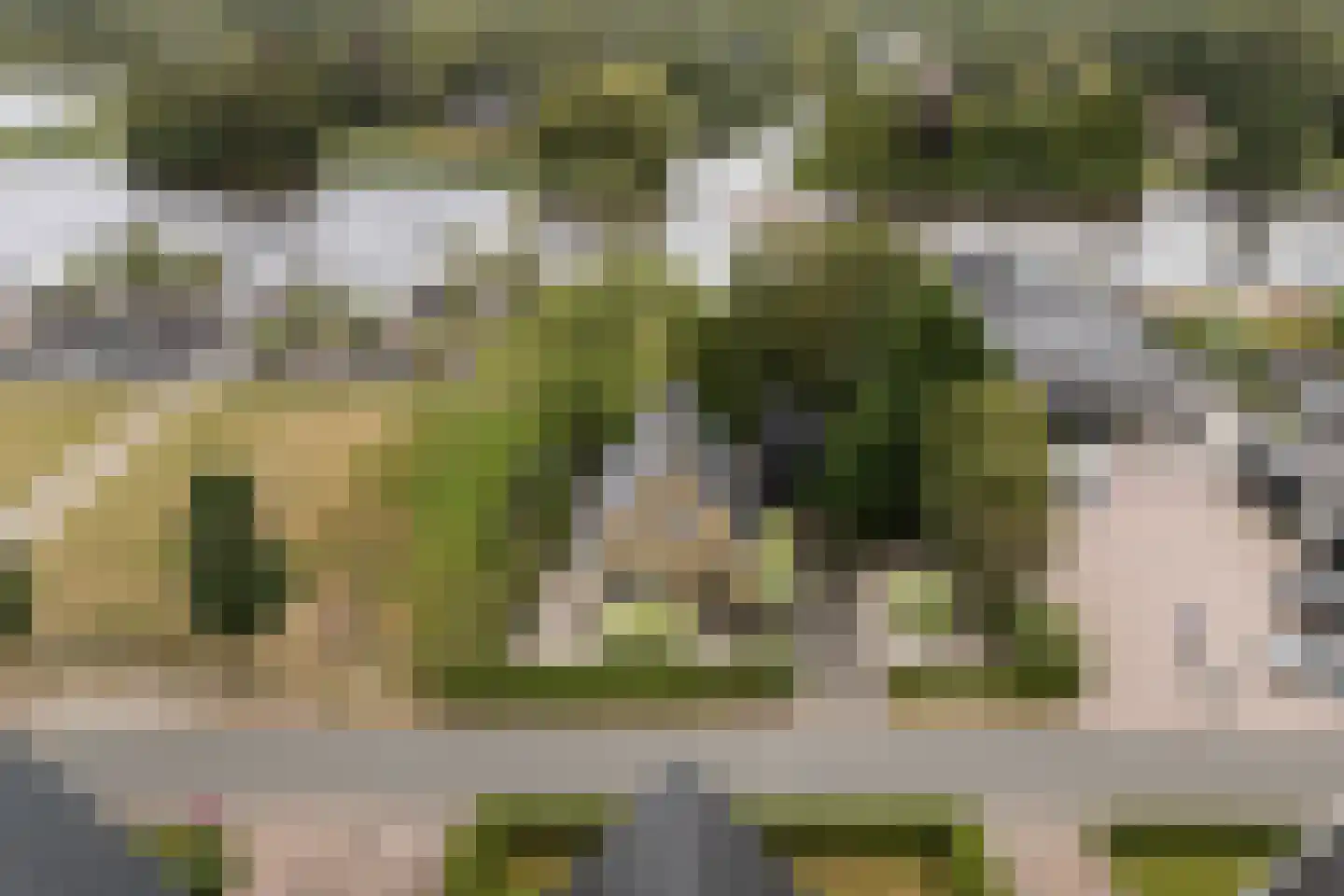 Wiidswei 1 Earnewâld thumbnail 51