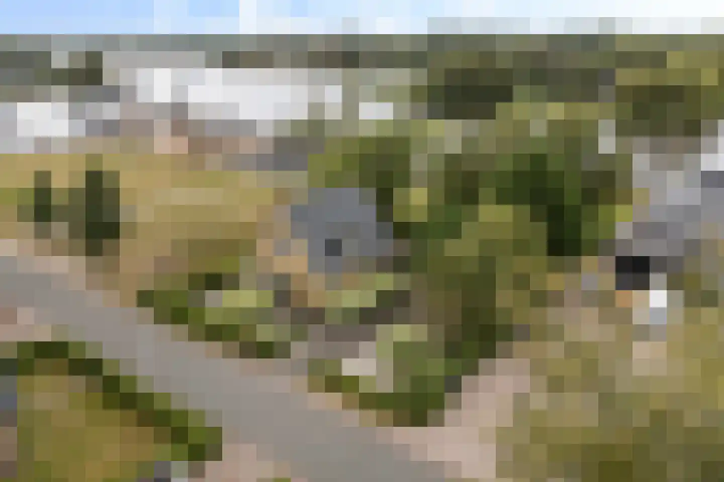 Wiidswei 1 Earnewâld thumbnail 52