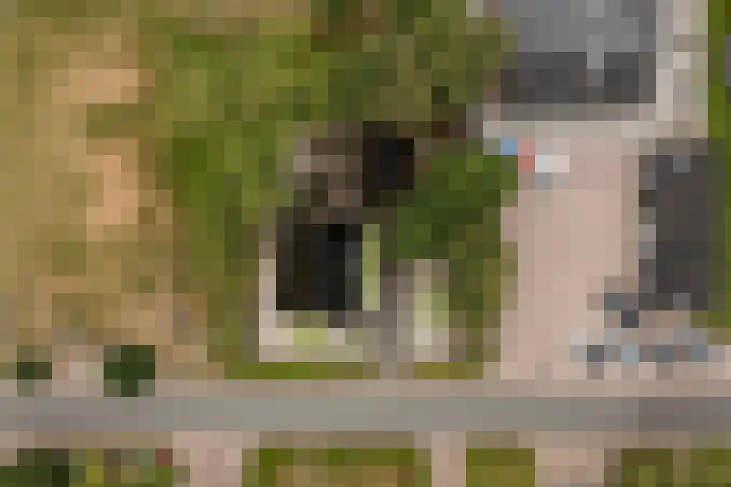 Wiidswei 1 Earnewâld thumbnail 54