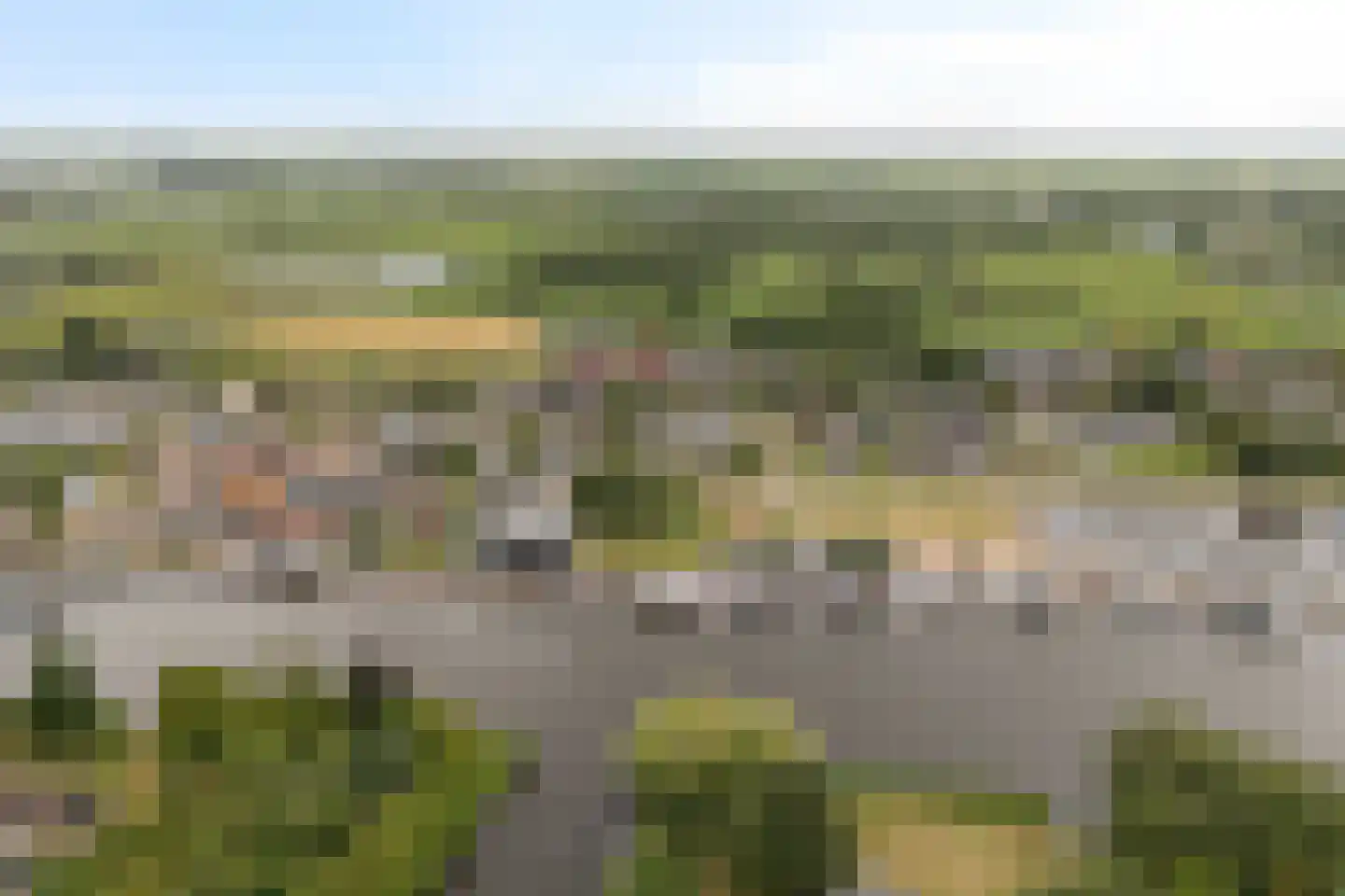 Wiidswei 1 Earnewâld thumbnail 55