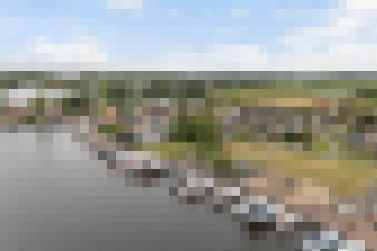 Wiidswei 1 Earnewâld thumbnail 56