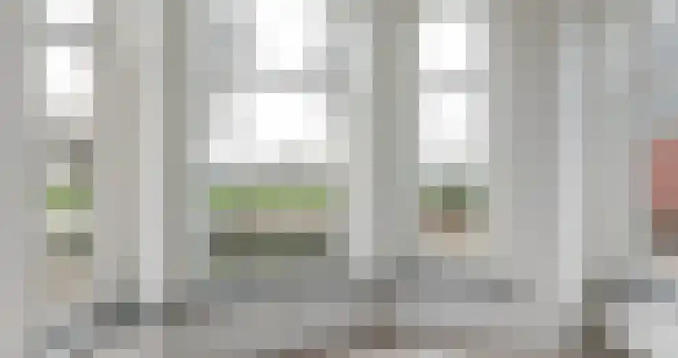 Wiidswei 8 Earnewâld foto 3
