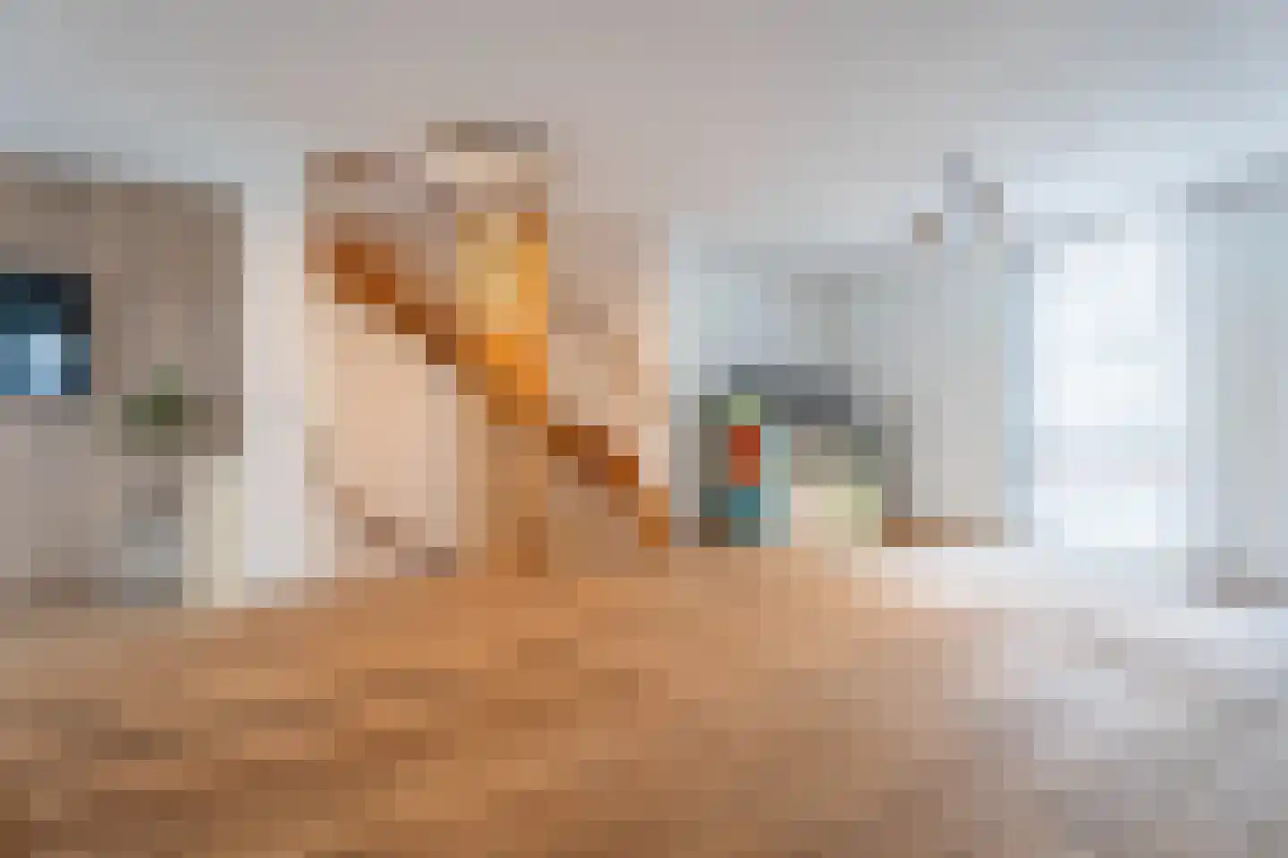 Wijboschstraat 100 Tilburg thumbnail 12