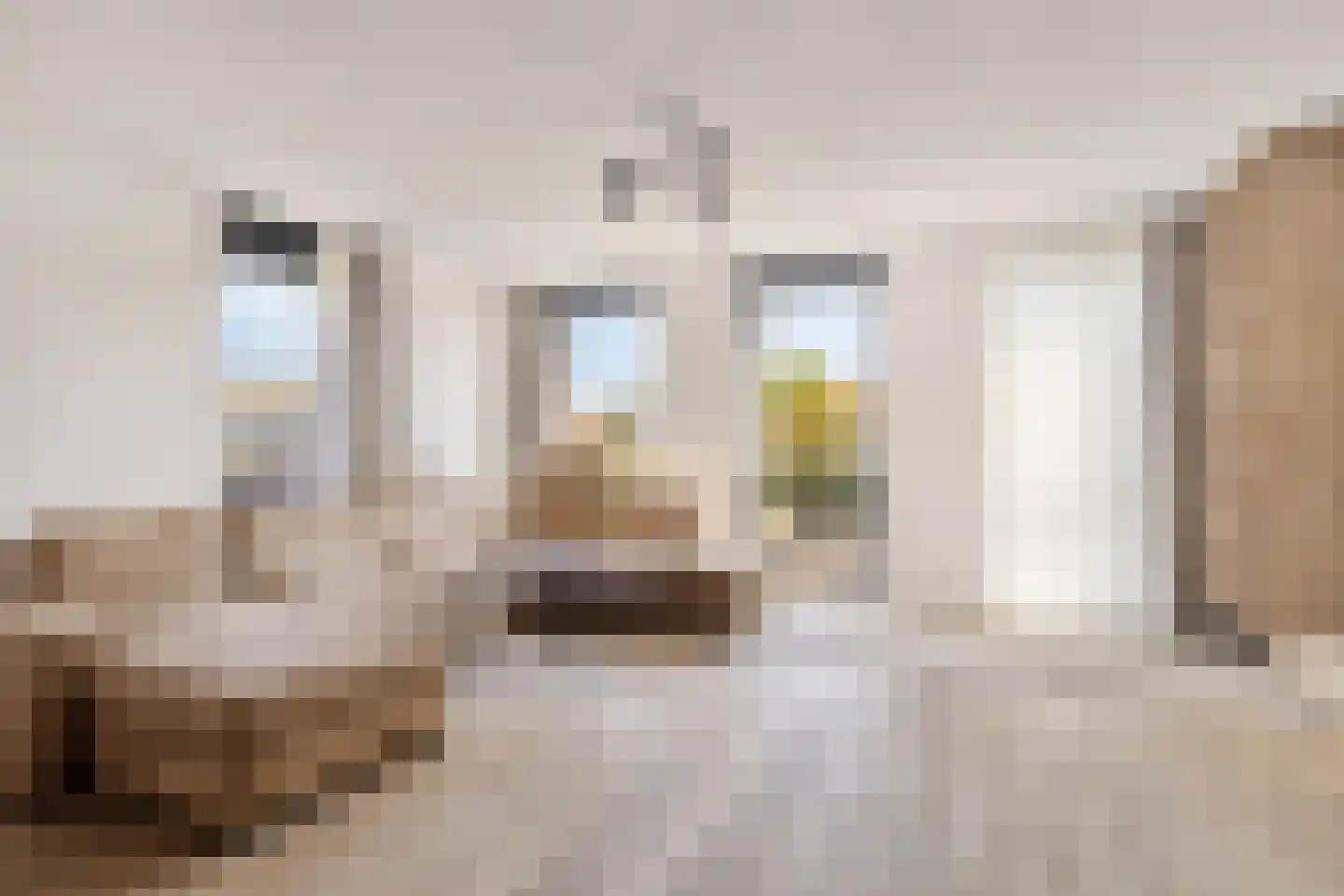 Wijboschstraat 100 Tilburg thumbnail 15