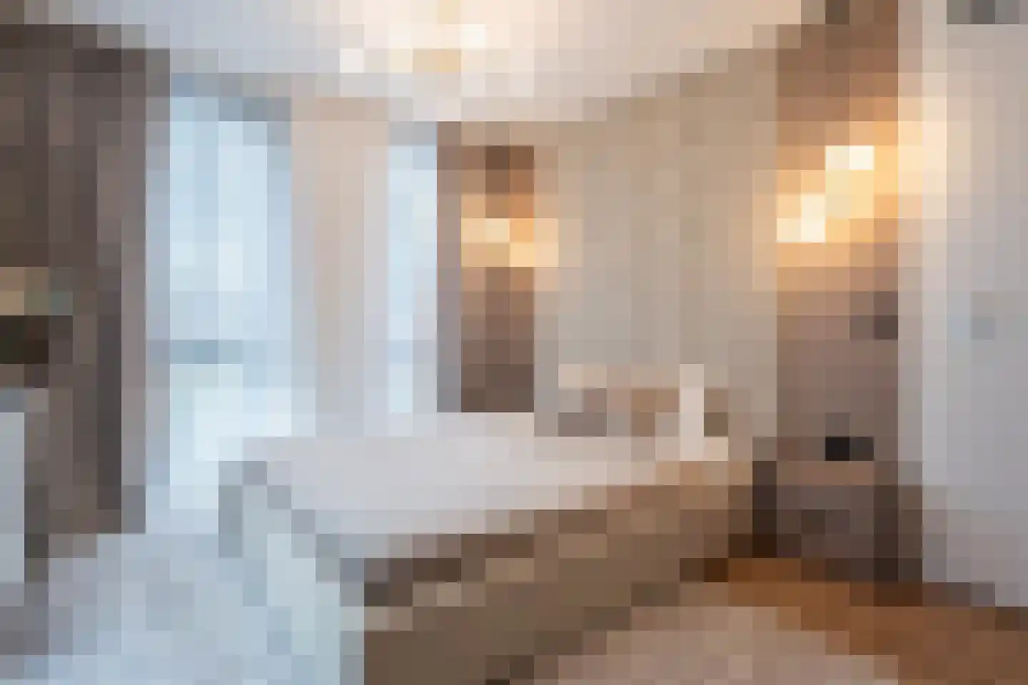 Wijboschstraat 100 Tilburg thumbnail 20