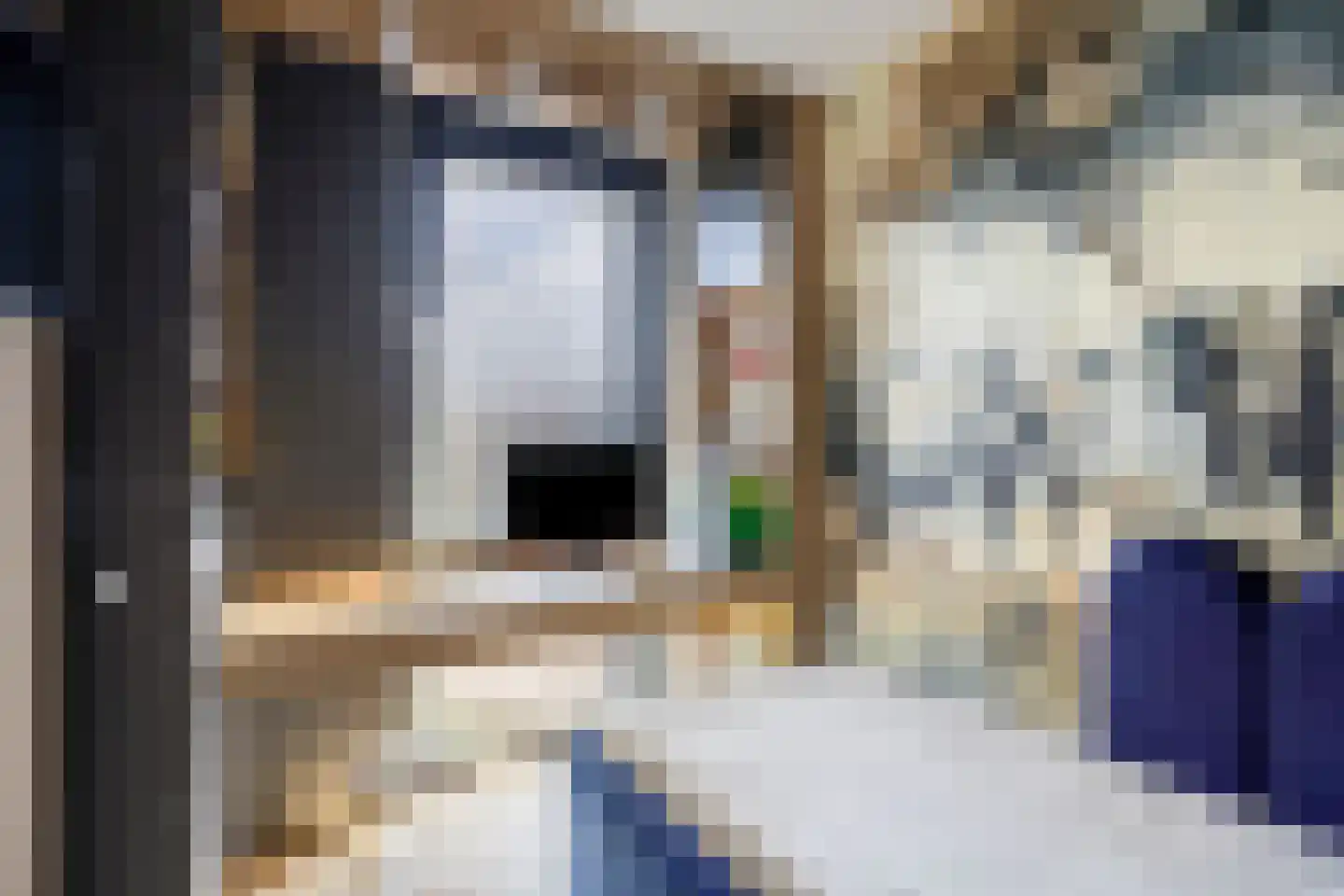 Wijboschstraat 100 Tilburg thumbnail 30