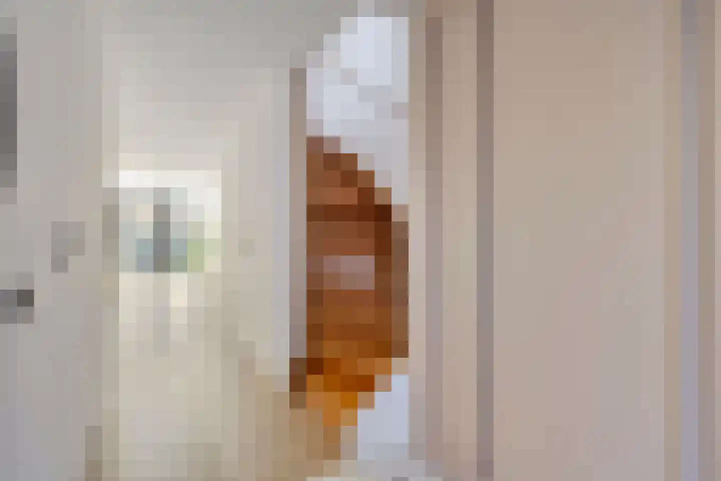 Wijboschstraat 100 Tilburg thumbnail 4