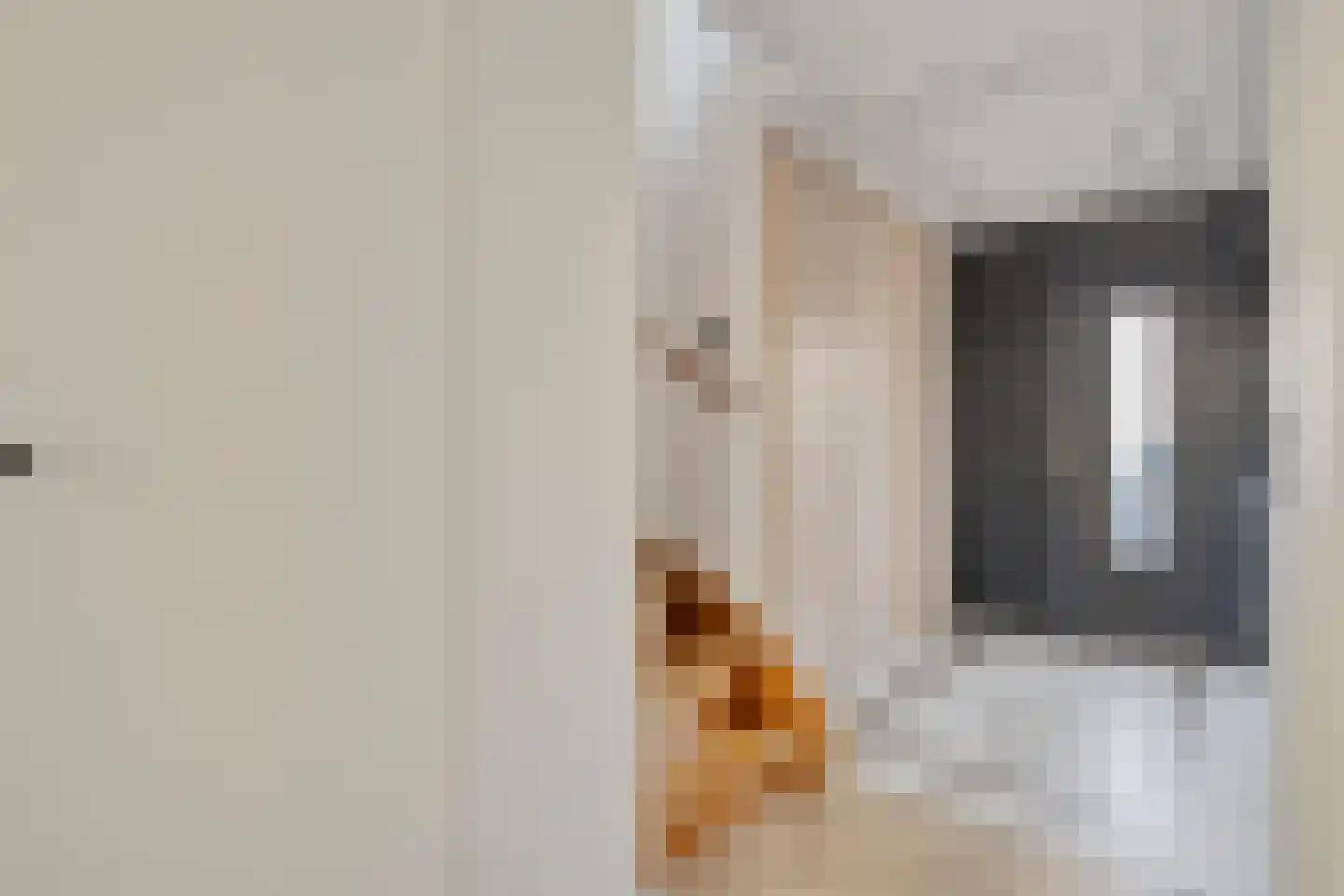 Wijboschstraat 100 Tilburg thumbnail 5