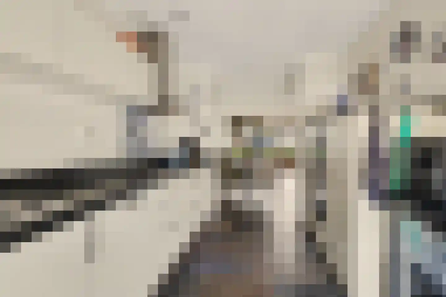 Wijboschstraat 124 Tilburg thumbnail 6