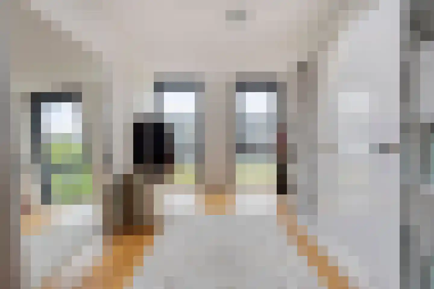 Wijboschstraat 152 Tilburg thumbnail 38