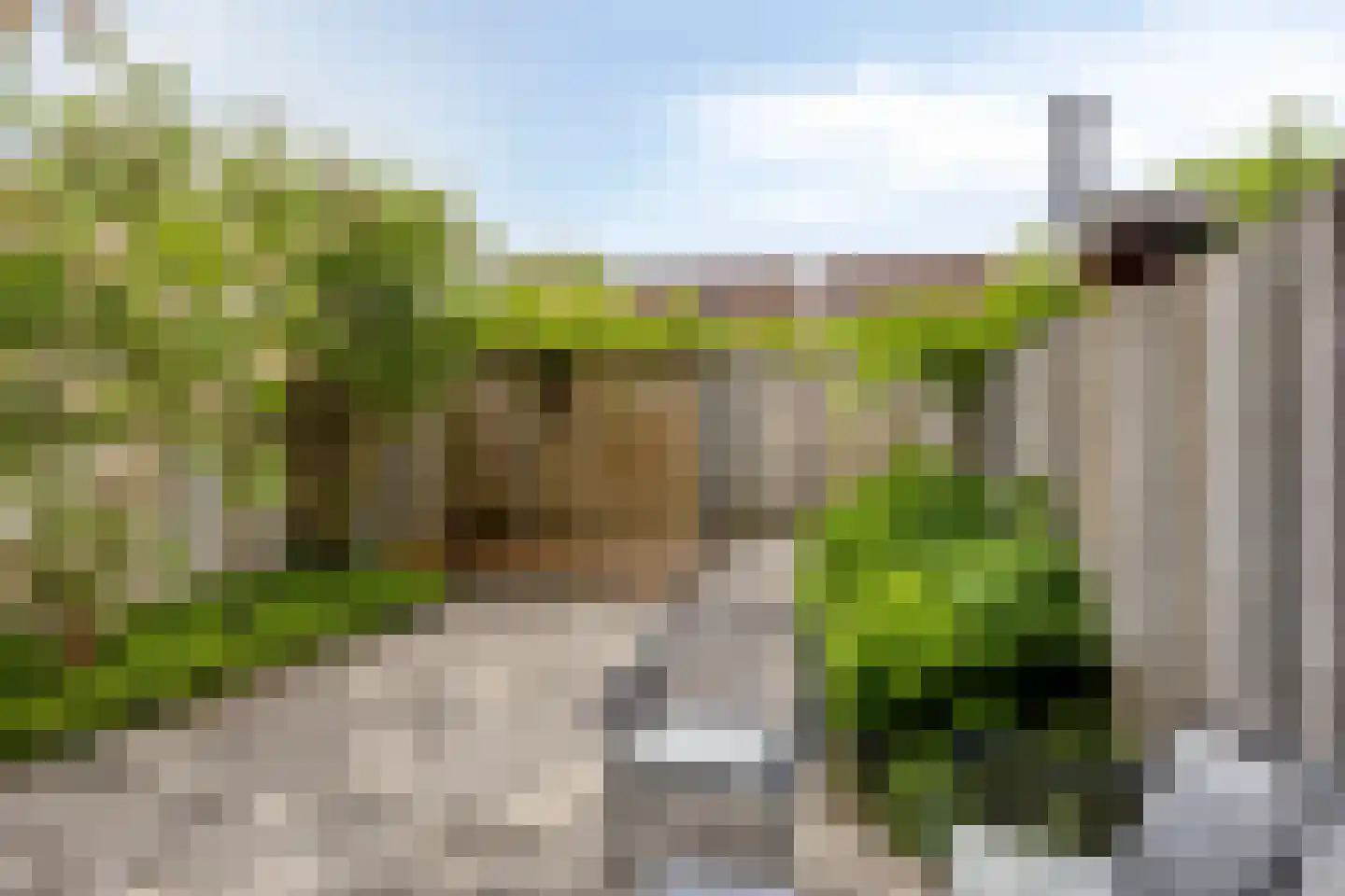 Wijboschstraat 152 Tilburg thumbnail 41