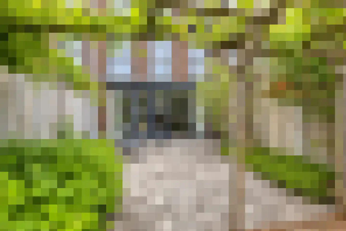 Wijboschstraat 152 Tilburg thumbnail 42