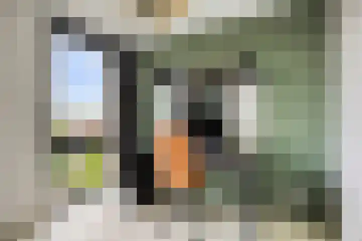 Wijboschstraat 22 Tilburg thumbnail 24