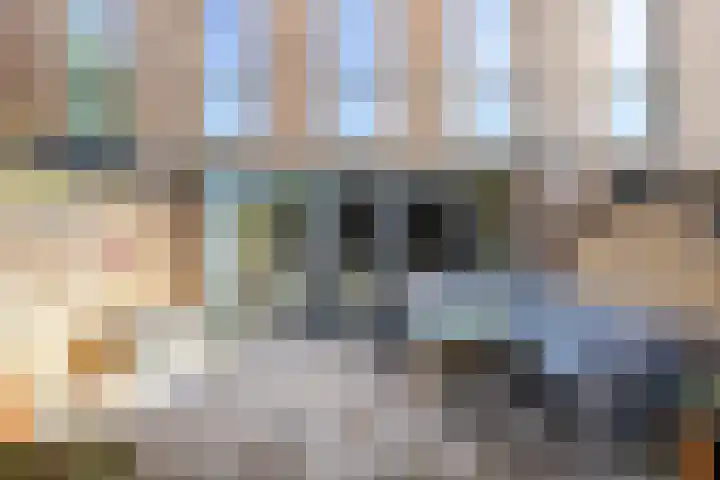 Wijboschstraat 22 Tilburg thumbnail 25