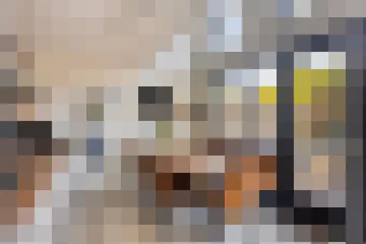Wijboschstraat 22 Tilburg thumbnail 9
