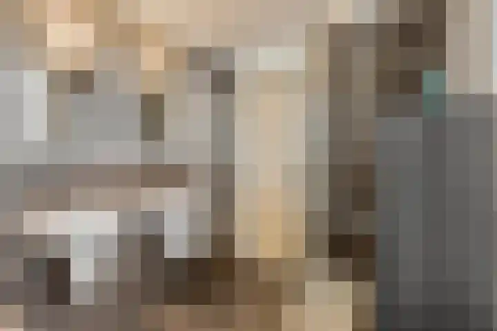 Wijboschstraat 26 Tilburg thumbnail 21