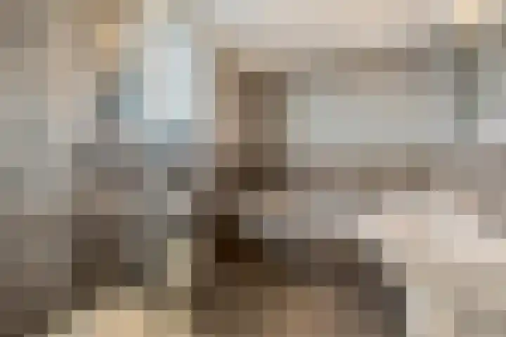 Wijboschstraat 26 Tilburg thumbnail 22