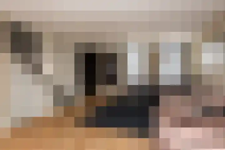 Wijboschstraat 66 Tilburg thumbnail 20