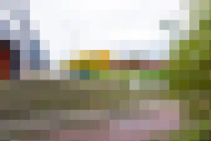 Wijboschstraat 66 Tilburg thumbnail 38