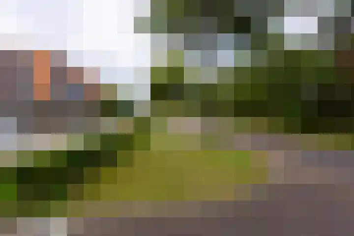 Wijboschstraat 66 Tilburg thumbnail 39