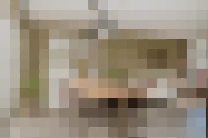 Wijbosscheweg 115 Schijndel thumbnail 11