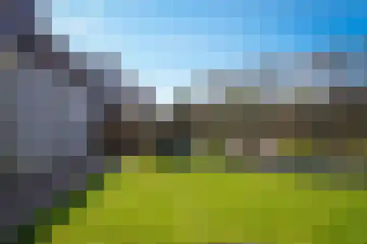 Wijbosscheweg 115 Schijndel thumbnail 28