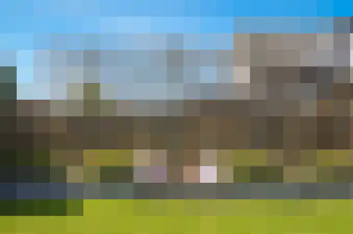 Wijbosscheweg 115 Schijndel thumbnail 29