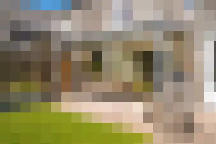 Wijbosscheweg 115 Schijndel thumbnail 32
