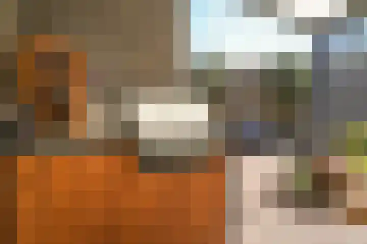 Wijbosscheweg 115 Schijndel thumbnail 33