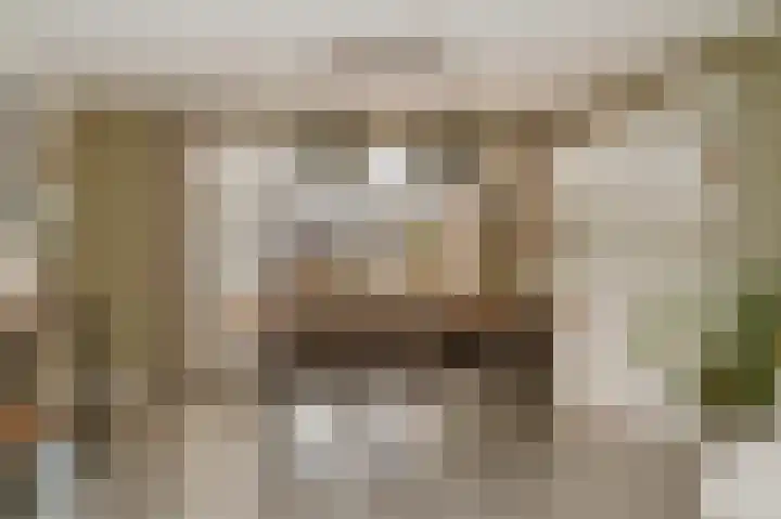 Wijbosscheweg 115 Schijndel thumbnail 4