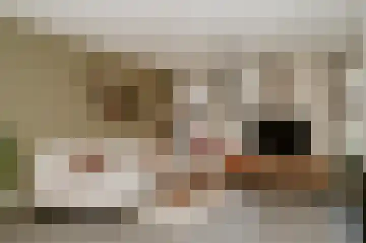 Wijbosscheweg 115 Schijndel thumbnail 5