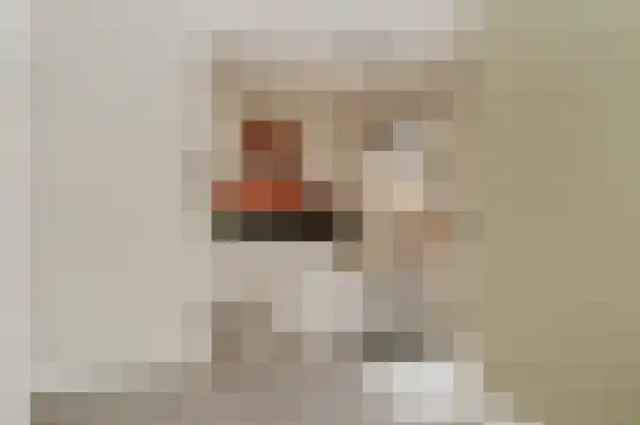 Wijbosscheweg 115 Schijndel thumbnail 8