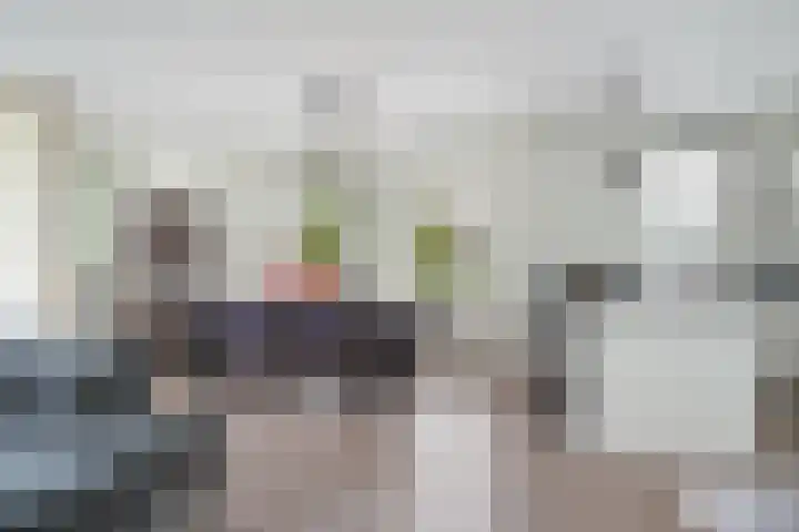 Wijbosscheweg 123 Schijndel thumbnail 10