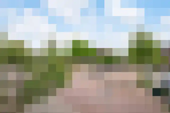Wijbosscheweg 123 Schijndel thumbnail 14