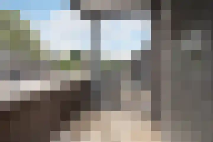 Wijbosscheweg 123 Schijndel thumbnail 20