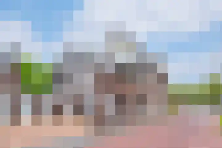 Wijbosscheweg 123 Schijndel thumbnail 25