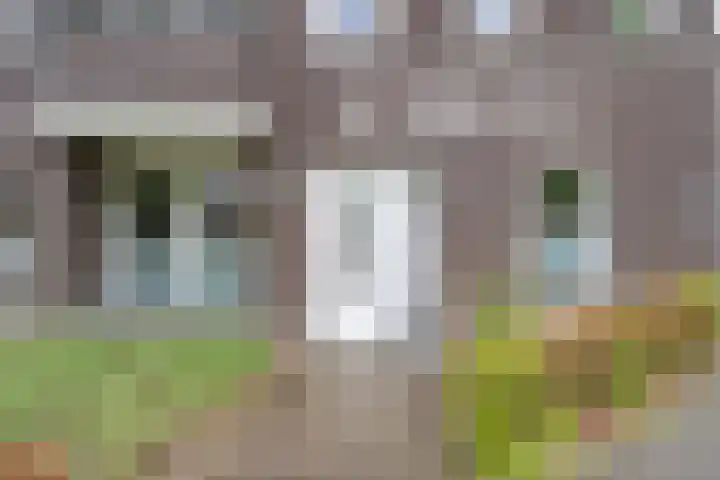 Wijbosscheweg 123 Schijndel thumbnail 28