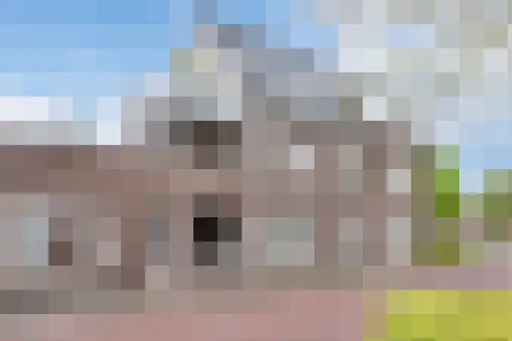 Wijbosscheweg 123 Schijndel thumbnail 29