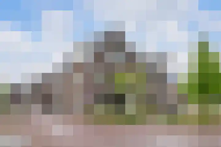 Wijbosscheweg 123 Schijndel thumbnail 31