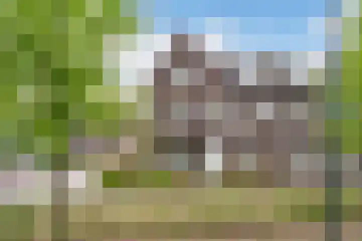 Wijbosscheweg 123 Schijndel thumbnail 32