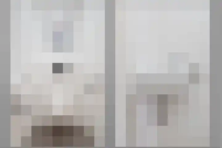 Wijbosscheweg 123 Schijndel thumbnail 6