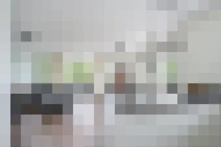 Wijbosscheweg 123 Schijndel thumbnail 7