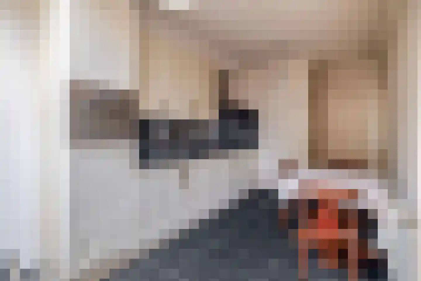 Wijbosscheweg 14 Schijndel thumbnail 10