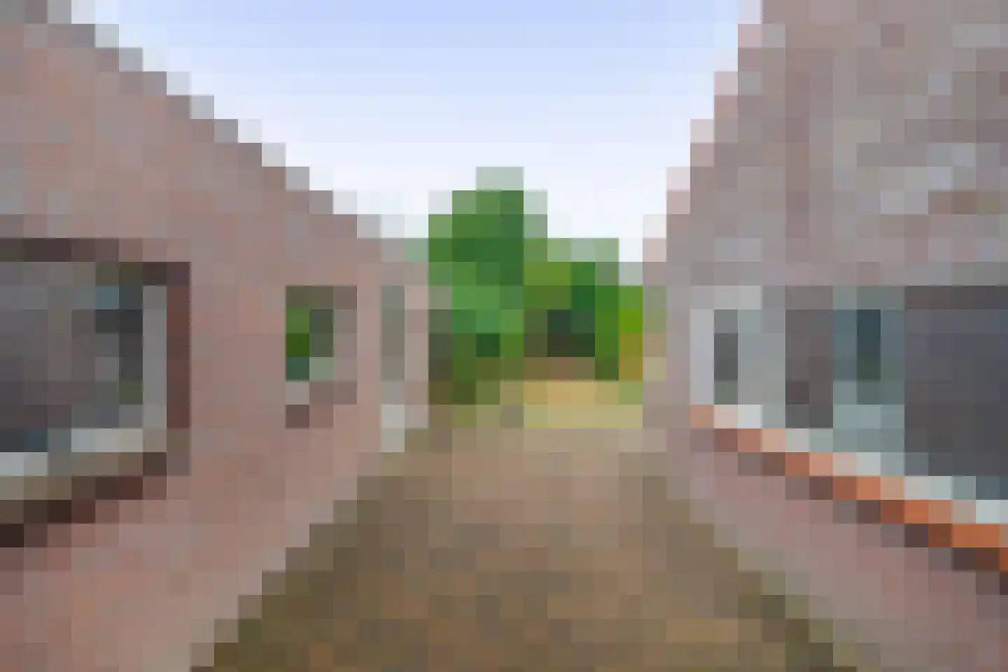 Wijbosscheweg 14 Schijndel thumbnail 26
