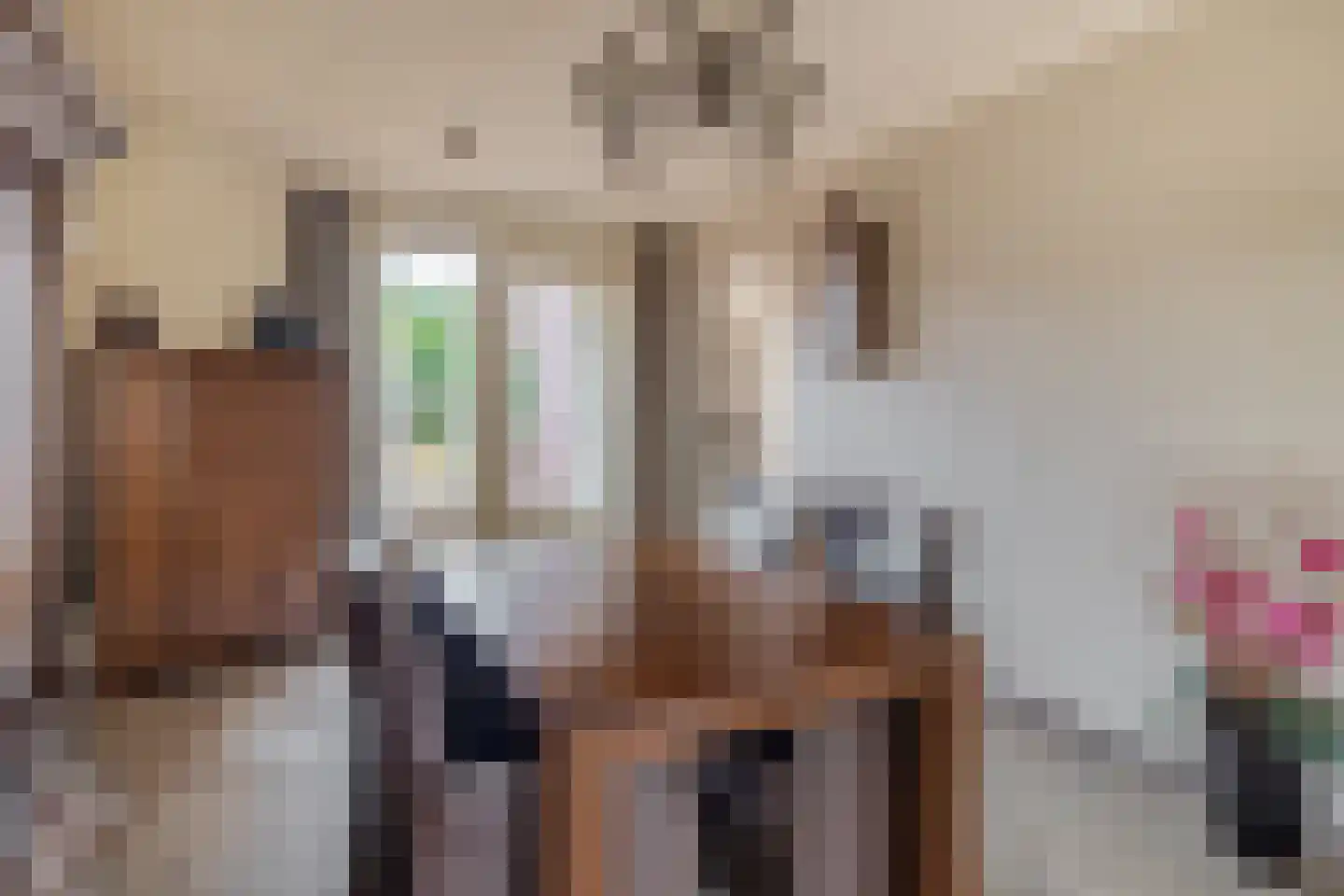 Wijbosscheweg 14 Schijndel thumbnail 9