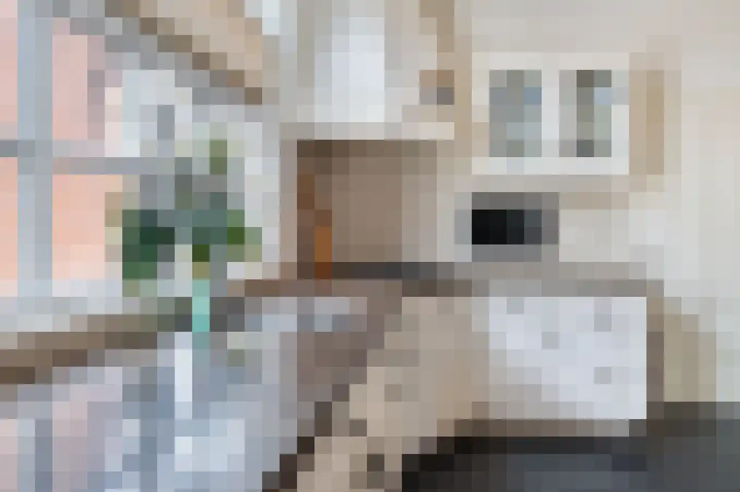 Wijbosscheweg 2 Schijndel thumbnail 13