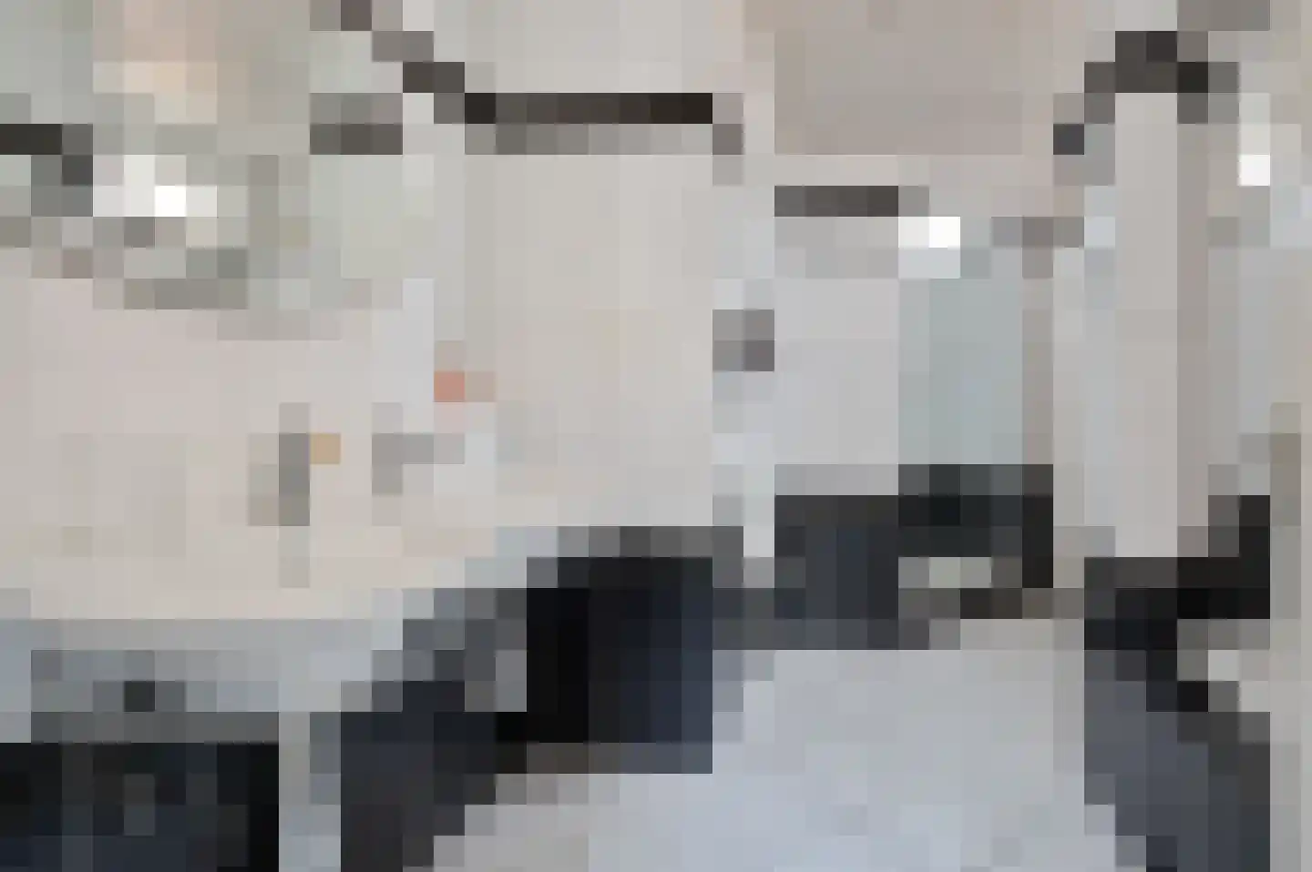 Wijbosscheweg 2 Schijndel thumbnail 19