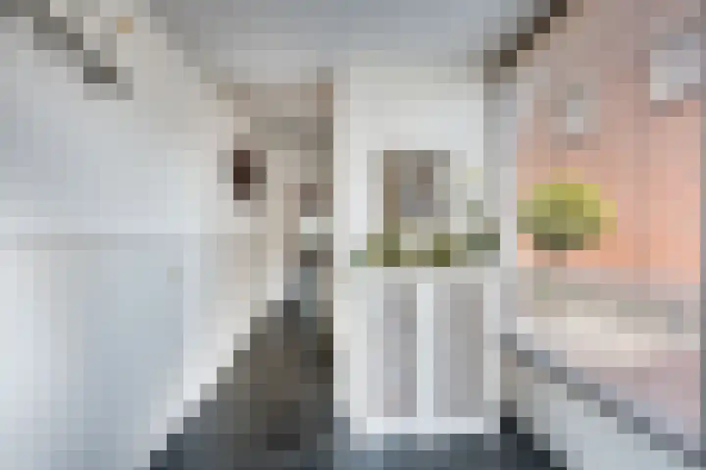 Wijbosscheweg 2 Schijndel thumbnail 23