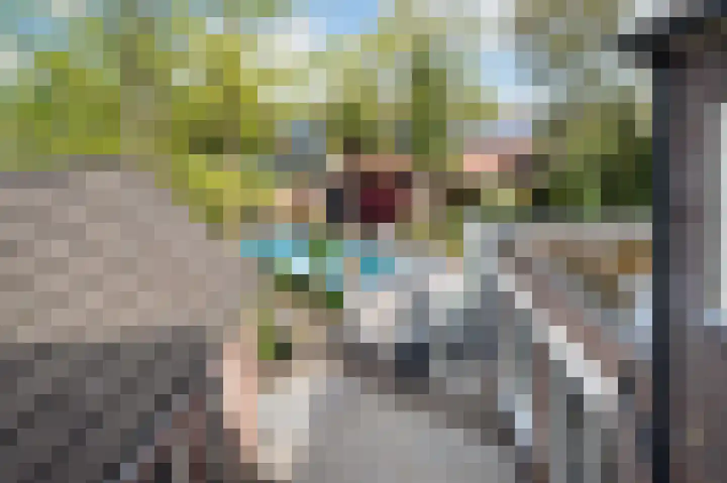 Wijbosscheweg 2 Schijndel thumbnail 39